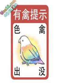 贴纸女生