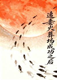 追妻火葬场成功以后 作者玛丽小洋