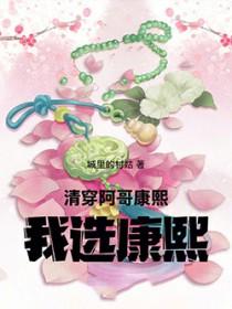我选康熙的