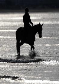 劫婚一场恶魔不放手