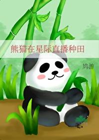 熊猫在星际直播种田免费阅读