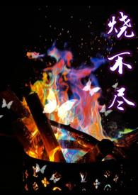 烧不尽副cp