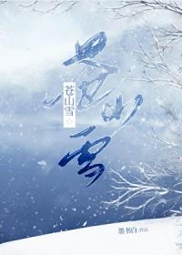 苍山雪洱海月的下一句