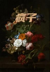 疯子的世界