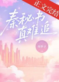 秦秘书真难追免费阅读