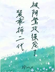 装乖txt