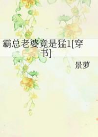 霸总宠妻成瘾(穿书)