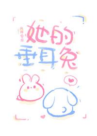 秘密情书电视剧免费观看