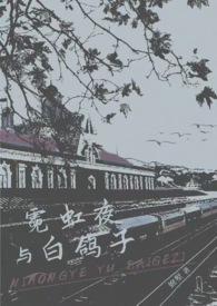 霓虹夜晚解读