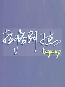 排球少年的排球