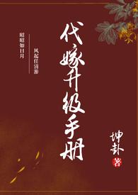 代嫁升级手册TXT