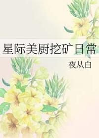 星际美厨挖矿日常TXT免费阅读全文