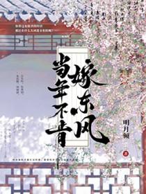 当年不肯嫁东风好看吗