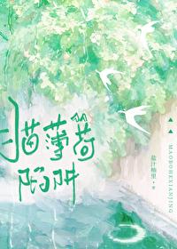 猫薄荷知乎