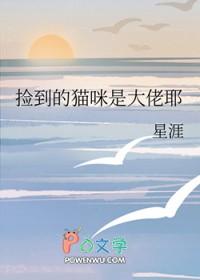 捡到猫咪好不好