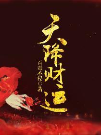 天降财运笔趣阁