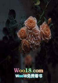 壁垒骨科np(江至疏) 目录 (共80章)