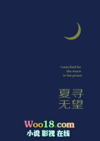 夏寻无望 免费阅读