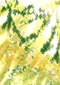 阴暗普女但第三者结局