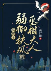 朕那个弱柳扶风的丞相大人双洁吗