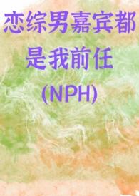 恋综男嘉宾都是我前任(NPH)作者怜江