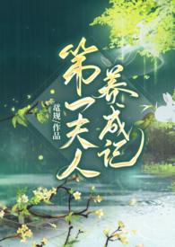 第一夫人全文番外