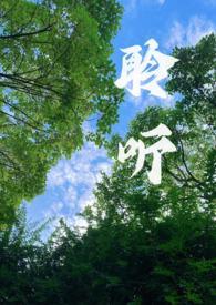 聆听校园1v1简介