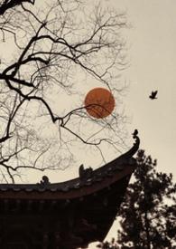 雀儿药粥全文阅读