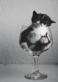 哒哒英语