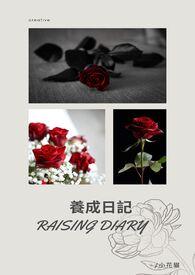 养成记类型