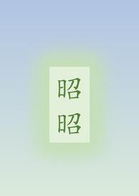 关于昭昭的