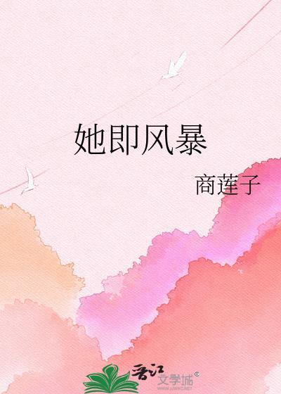 她即风暴莲子百合糖