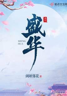 盛华烟花