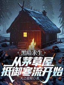黑暗求生从茅草屋抵御寒流开始无弹窗