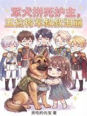 军犬感人