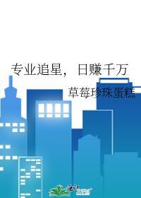 追星一年能赚多少钱