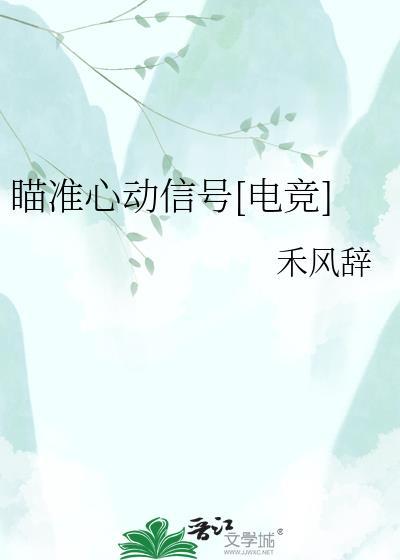 瞄准你的心无防盗