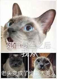 死而复生之后我从老头变成了绝世大美人攻受