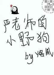 严老师的小野狗好看吗