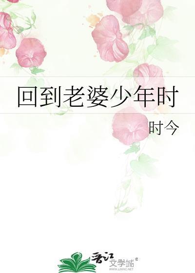 回到老婆少年时 完结+番外