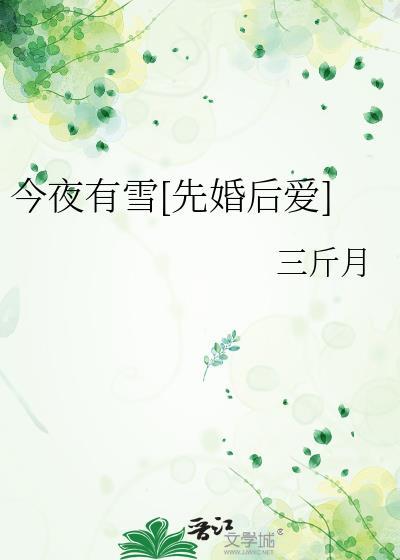 今夜有雪先婚后爱免费阅读