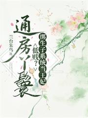 通房丫鬟助圆房合集