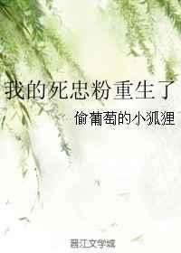 我的死忠粉重生了讲什么
