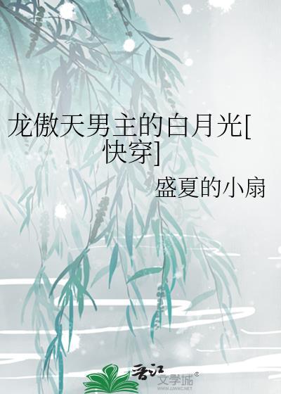 龙傲天男主是个omega 格格党