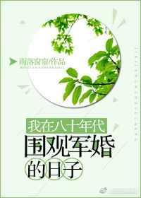 我在八十年代围观军婚的日子53