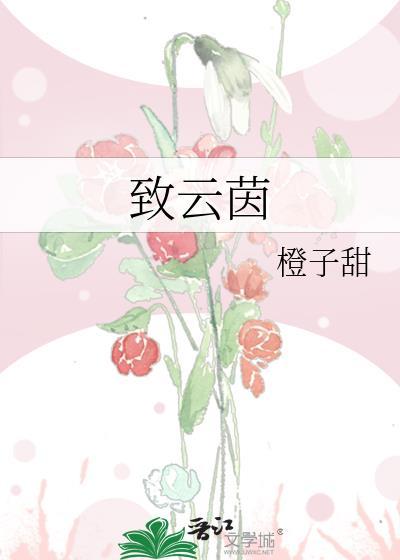 致云茵晋江