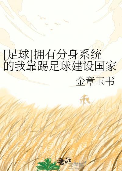 系统踢足球的
