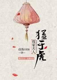 我家夫人猛如虎完结番外txt