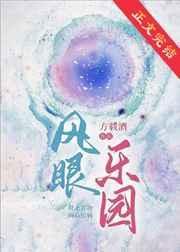 风眼乐园免费阅读