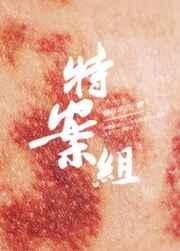 特殊案件调查组1